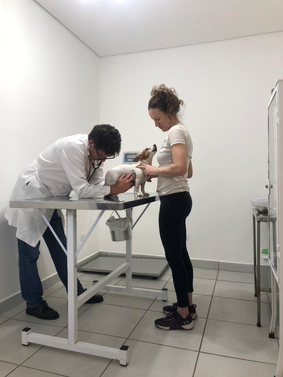 Dr. Gustavo examinando um cachorro na mesa de atendimento